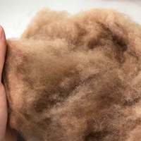 Beste Qualität supersoft enthaartes Kamel haar, Kamel wolle mit Fabrik preis