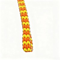 Laisse pour chien en paracorde tressée à la main, légère, personnalisée, avec motif nœud d'amour double face, vente en gros directe usine