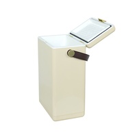 Seau à glace isotherme en fer de 10 L pour l'extérieur, refroidisseur portable pour boissons et vin, boîte moderne et simple de luxe léger