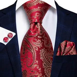 Men's Neckties High Quality Jacquard Luxury Mens Ties Paisley Italian Silk Neckties Sets