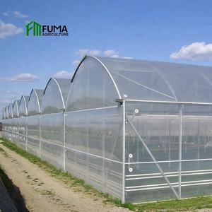 Serra Agricola Commerciale Intelligente a Basso Costo con Copertura in PE Multi-Span per la Crescita delle Piante - Product Image 3