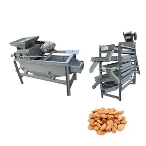 Small walnut almond palm kernel cracking sheller shelling machine from factory