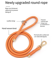 Collier simple en PU pour animaux de compagnie, laisse pour chien et chat, sac à déjections canines, corde ronde