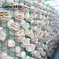 Contenedor de Cultivo Vertical Hidropónico para Hongos, Contenedor de Envío para Granja de Cultivo con Componentes Clave