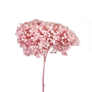 Hot Sale High Quality Room Wall Decoration Valentine's Day Preserved <strong>Hydrangea</strong> with Stem <strong>Artificial</strong> <strong>Hydrangea</strong> Flower - Product Image 4