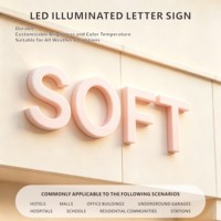 Enseignes lumineuses 3D LED sur mesure, lettres en relief éclairées pour les commerces de détail, les centres commerciaux et les tours de bureaux