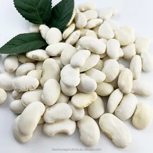 Hot Selling Factory Price Wholesale White Kidney Beans