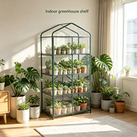 Serre de jardin pliable et détachable en métal, revêtement poudré, anti-rouille, résistante aux intempéries, pour jardin, patio, pépinière, vente en gros, OEM