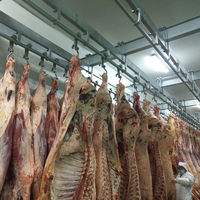 Système de rail de convoyage professionnel en acier inoxydable pour la viande, chambre froide, abattoir, stockage, outils de traitement des carcasses