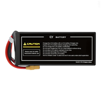 Batterie Li-po CY de haute qualité 30000mAh 15C 3.8V 114Wh avec connecteurs JST-XT/XT60 pour drone