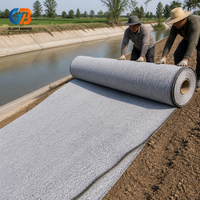 Bâche imperméable en bentonite, membrane géosynthétique en argile de haute qualité, auto-scellante, faible perméabilité pour le drainage des barrages en extérieur