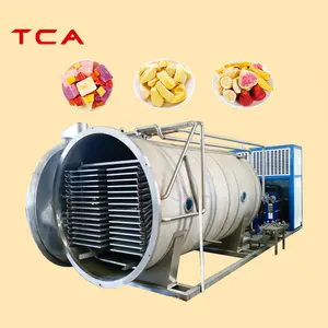 Tca 1000kg 100m2 500kg 50m2 công nghiệp thức ăn vật nuôi lyophilizer đóng băng khô hoa Máy SUS 304 trái cây đóng băng Máy sấy khô