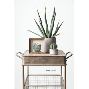 Cadre Photo Cactus en bois massif, Simple et créatif, avec Cactus, décoration pour la maison, création de bureau - Product Image 2