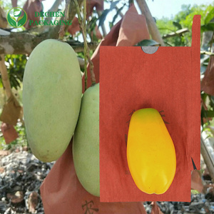 Best Mango Cover Bag with Premium Mango Paper Bag - Long-Lasting & Reliable Best Mango Cover Bag with Premium Mango Paper Bag - Long-Lasting & Reliable