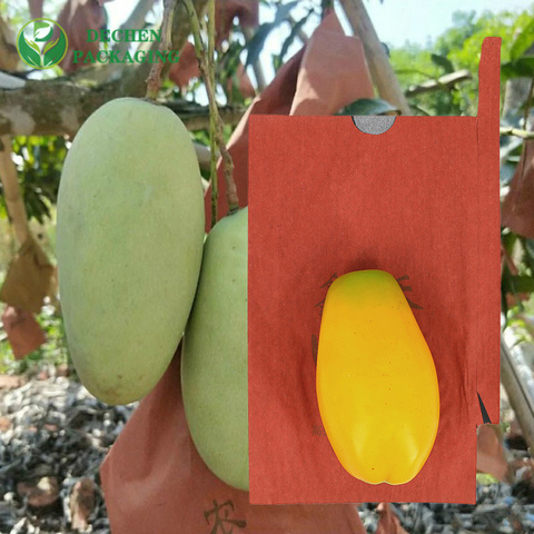 Mango Growing Fruit Cover Pomegranate Paper Bag Mango Growing Fruit Cover Pomegranate Paper Bag