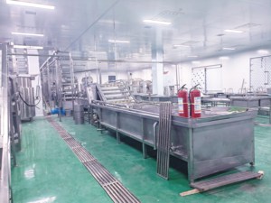 <span class=keywords><strong>เครื่อง</strong></span>คั้นน้ำผลไม้<span class=keywords><strong>สด</strong></span>อัตโนมัติประสิทธิภาพสูงสำหรับน้ำส้มและมะม่วงแบบสกัดเย็น - Product Image 4