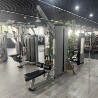 REYK Appareil de musculation universel pour triceps, avec fonction de tirage vertical et d'entraînement en position assise, en acier inoxydable, unisexe