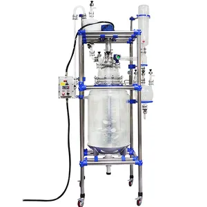 Reactor de cubierta de vidrio biorreactor 100L