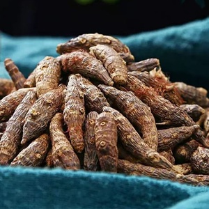 Rhizome de Cyperis Séché de Haute Qualité Xiang Fu en Vrac pour l'Alimentation et les Boissons - Product Image 2