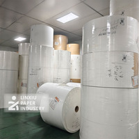 250gsm 300gsm 330gsm Factory Price Paper Roll Cups Bowls Raw Material Paperboard