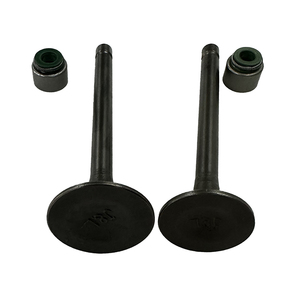 Valvole <span class=keywords><strong>moto</strong></span> personalizzate per Bajaj CT100 | Stelo e sedile CNC - Product Image 1