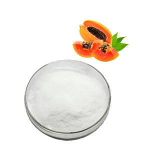 OEM fördert Nährstoffabsorption Papaya-Enzym-Vormischungspulver Papaya-Bohnen-Extrakt Papain-Enzym-Pulver