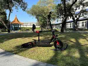 สกู๊ตเตอร์ไฟฟ้า 3-in-1 ความเร็วสูง 2000W สำหรับทุกพื้นผิว พร้อมสโนว์บอร์ดแบบมีสายพาน สำหรับการผจญภัยกลางแจ้งบนหิมะ สกู๊ตเตอร์หิมะแบบสามล้อ - Product Image 3