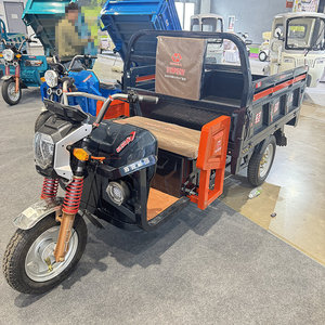 Triciclo Eléctrico de Carga de Alta Calidad y Gran Capacidad, 1000W, para Adultos, Vehículo de Carga Abierto, Transporte de Mercancías - Product Image 2