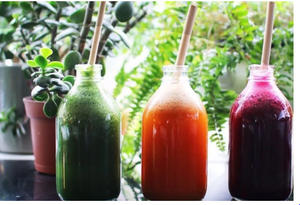 The Best Quality of Grass Drinking Straws in Vietnam Ar Competitive Price for Wholesale Ms Holiday - Product Image 4