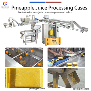 Commercial Pineapple <b>Juice</b> Processing Line Pineapple Washing Peeling and <b>Juice</b> <b>Squeezer</b> Machine - Product Image 5