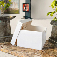 Boîte d'expédition personnalisée écologique avec gaufrage, doublure en éponge, couleurs douces, couvercle en papier kraft minimaliste, recyclable, forme d'avion