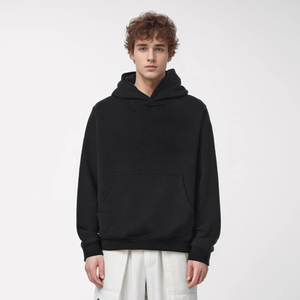 Sweat à capuche en coton piqué haut de gamme pour homme, qualité supérieure 460G, nouvelle arrivée automne - Product Image 1