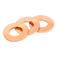 M3 M4 M5 M6 M8 M10 M12 M14 M16 M20 Stainless Steel Galvanized Zinc Plated Flat Washers Wedge Style Plain Finish Copper
