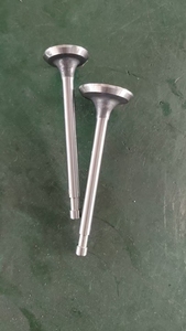 Dieselmotor-Ersatzteile Einlass- und Auslassventile <span class=keywords><strong>DEIL</strong></span> Gute Qualität - Product Image 4