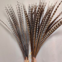 Plumes artificielles de faisan Reeves 40-150 cm - Couleurs et tailles personnalisées pour costumes de carnaval, coiffes et décorations de fête