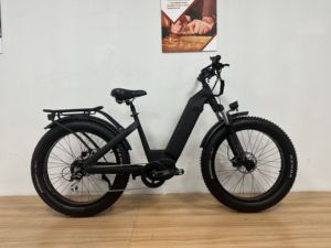 Bicicleta Eléctrica de Montaña para Mujer, 48V 17.4Ah, Batería de Litio, 1000W, Motor Trasero, Cuadro de Aluminio, Neumáticos Gruesos de 26 Pulgadas, Frenos de Disco Hidráulicos - Product Image 1