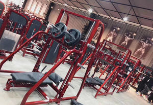 Juego de gimnasio de acero para entrenamiento de culturismo en casa, mancuernas ajustables, máquina Smith, Banco de pesas libres, bastidores de banco - Product Image 6