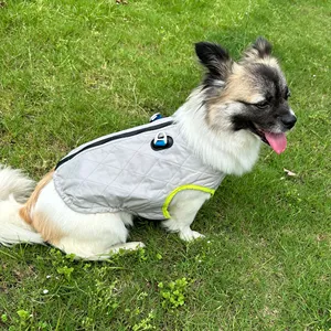 Haustier bekleidung leichte Sommer Verdunstung Hund Kühl jacke Mantel große Hund Kühl weste Geschirr für Hunde