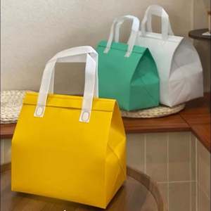 Bolsas Térmicas Porta Alimentos Personalizadas de Fábrica para Restaurantes de Comida Rápida, Heladerías y Comida para Llevar - Product Image 6