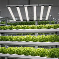 Lampe de culture LED à 8 barres avec distribution uniforme du PPFD et hauteur de suspension réglable pour la culture intérieure de légumes-feuilles