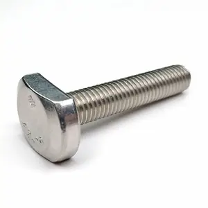 High Quality Customized M5 M6 M8 M10 M12 M16 M20 304 Fasteners Stainless Steel T-Shape Head Screw Bolts