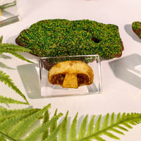 Petits spécimens de plantes séchées pour taxidermie, décoration biologique, champignons, artisanat en résine fait main