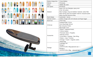 Tabla de Surf Eléctrica <span class=keywords><strong>Fliteboard</strong></span> de Fibra de Carbono, Hydrofoil Eléctrico, Tabla de Surf Eléctrica de Pie - Product Image 6