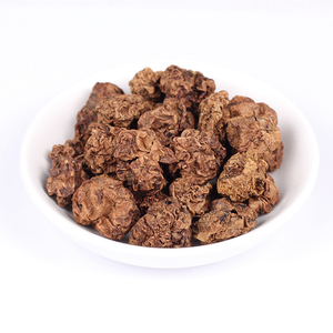 Polvere di Matatabi (Actinidia Polygama) all'Ingrosso da Frutti Secchi - Product Image 1