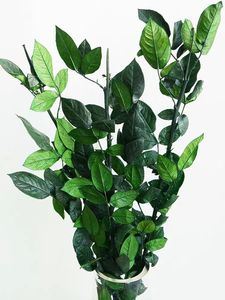 Stelo di rosa conservato 1 gambo di rosa con foglie e sepali verdi per la realizzazione di conservanti di <span class=keywords><strong>Rose</strong></span> a cupola in vetro conservati - Product Image 4