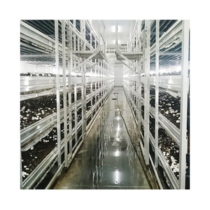 Large Steel and Aluminum Warehouse Mushroom Grow Rack Fungus <strong>Racking</strong> Shelf for Agricultural <strong>Greenhouses</strong> with Stackable Storage - Product Image 2