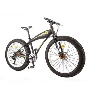 Fabbrica/OEM sospensione cinese economica in lega di alluminio acquista biciclette Mountain Bike Gear cycle