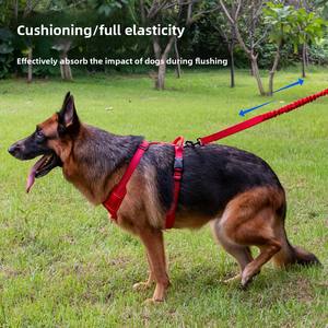 Orta-büyük köpekler için taktik pamuk köpek tasma olmayan ağrılı elastik P zincir Corgi evcil sınır ötesi Pet koşum için yürür - Product Image 2