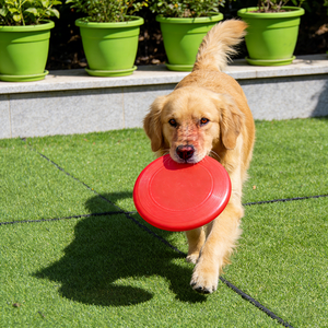 Césped Profesional para Mascotas Shvmu para Entrenadores - Fabricante para Clases de Adiestramiento y Comportamiento - Product Image 1