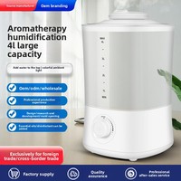 Humidificateur et diffuseur d'huiles essentielles Hahaxiong pour la maison, 4L, 28W, avec tension universelle